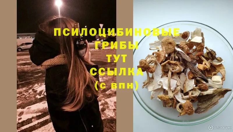 Галлюциногенные грибы Cubensis  Волчанск 